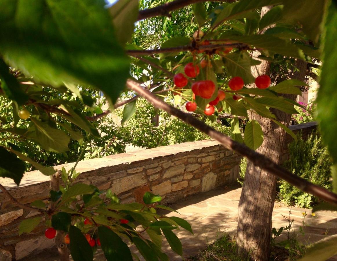 Pyrgos Traditional Village Ágios Kírykos Exterior foto